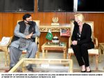 Durable peace in Afghanistan common goal of Pakistan, US: Sheikh Rasheed Durable peace in Afghanistan common goal of Pakistan, US: Sheikh Rasheed