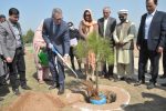 Miyawaki Forest to add up in the beauty of Federal capital: Dr. Geoffrey Shaw Miyawaki Forest to add up in the beauty of make Federal capital: Dr. Geoffrey Shaw