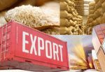 Exports increase by 4.29% in 8 months Exports increase by 4.29% in 8 months