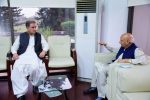 FM, Punjab Governor discuss Palestine issue, Islamophobia