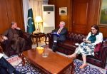 FM, EU Representative discuss ties, human rights violations in Indian Occupied Kashmir