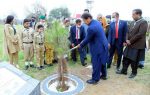 Massive forestation crucial to save future generations: PM