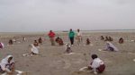 IUCN Pakistan, HRDN plants mangroves at Port Qasim to mark International Women’s Day