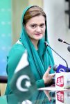 Cabinet briefed on economic disaster of PTI govt: Marriyum