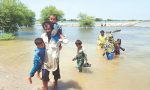 Another challenge for flood victims is to face epidemics