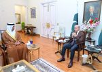 PM Shehbaz Meets UAE Envoy, Seeks Support to De-escalate Tensions with India