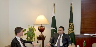 Swiss envoy, SAPM Fahd Haroon discuss digital media cooperation