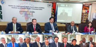 Pakistan Urged to Accelerate Strategic Engagement with Africa as Global Competition Intensifies