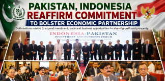 Pakistan, Indonesia reaffirm commitment to strengthen economic partnership